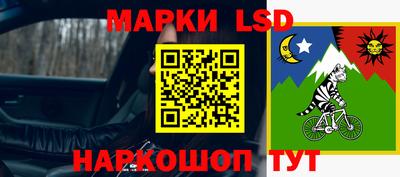 шишки Усть-Илимск