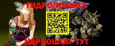 шишки Усть-Илимск