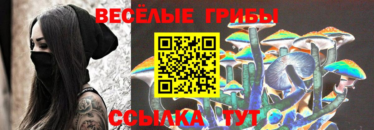 Кумертау  Псилоцибиновые грибы прущие грибы  Вход с VPN 